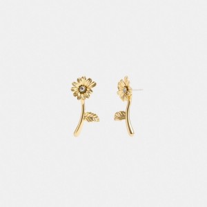 Jóias Coach Garden Flower Stem Stud Earrings Feminino Douradas | ZVKRMNO-01