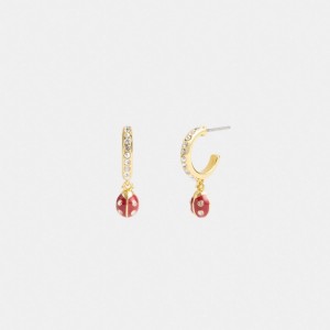 Jóias Coach Garden Ladybug Drop Earrings Feminino Douradas Multicoloridas | JFAWOLN-83