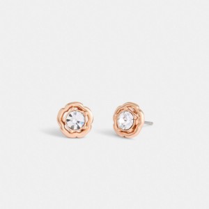 Jóias Coach Halo Tea Rose Stud Earrings Feminino Rosa Douradas | NGELHFC-53