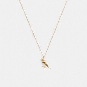 Jóias Coach Skeletal Rexy Pendant Necklace Feminino Douradas Multicoloridas | VHELPSO-97