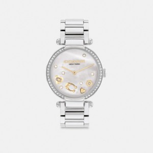 Relógios Coach Cary Watch, 34 Mm Feminino Cinzentas | HGILDKP-72