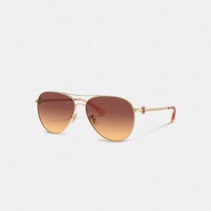 Óculos Coach Metal Aviator Sunglasses Feminino Marrom Escuro | HYFQBAT-73