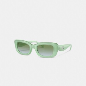 Óculos Coach Pillow Tabby Narrow Rectangle Sunglasses Feminino Menta | CTUMWIR-54