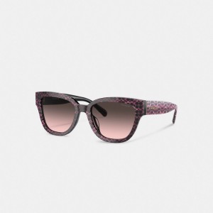 Óculos Coach Signature Round Sunglasses Feminino Multicoloridas | QVPWZLF-95