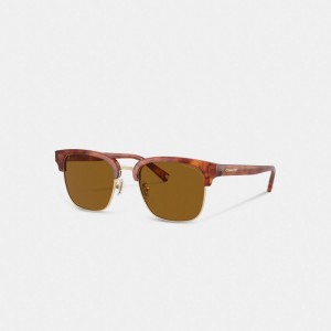 Óculos de Sol Coach Retro Sunglasses Masculino Marrom | VFYUMHQ-82