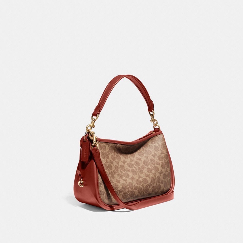 Bolsas Crossbody Coach Cary Crossbody Bag In Signature Canvas Feminino Marrom Vermelhas | ZALDXBJ-58