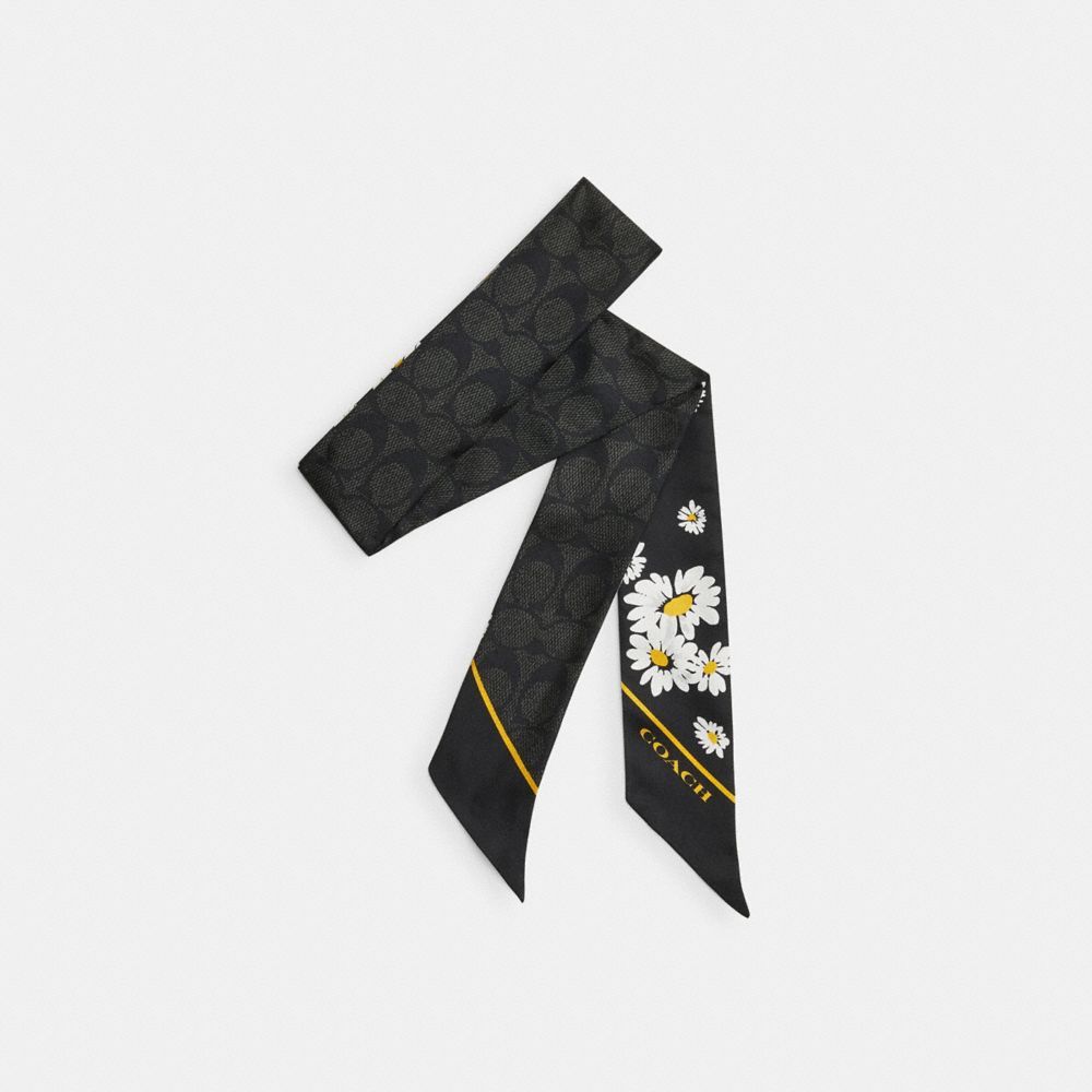 Lenço Coach Signature Daisy Cluster Print Silk Skinny Scarf Feminino Pretas | PGEVYZX-49