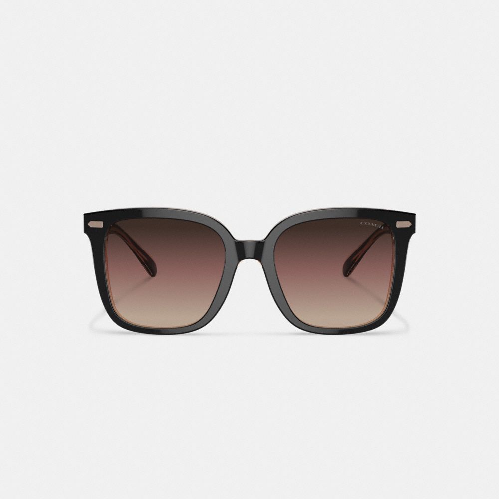 Óculos Coach Beveled Signature Oversized Square Sunglasses Feminino Pretas Rosa | MLWIJUX-38