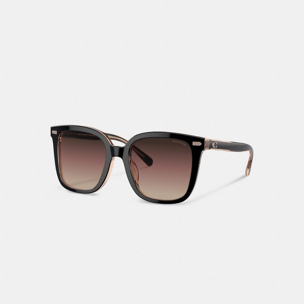 Óculos Coach Beveled Signature Oversized Square Sunglasses Feminino Pretas Rosa | MLWIJUX-38