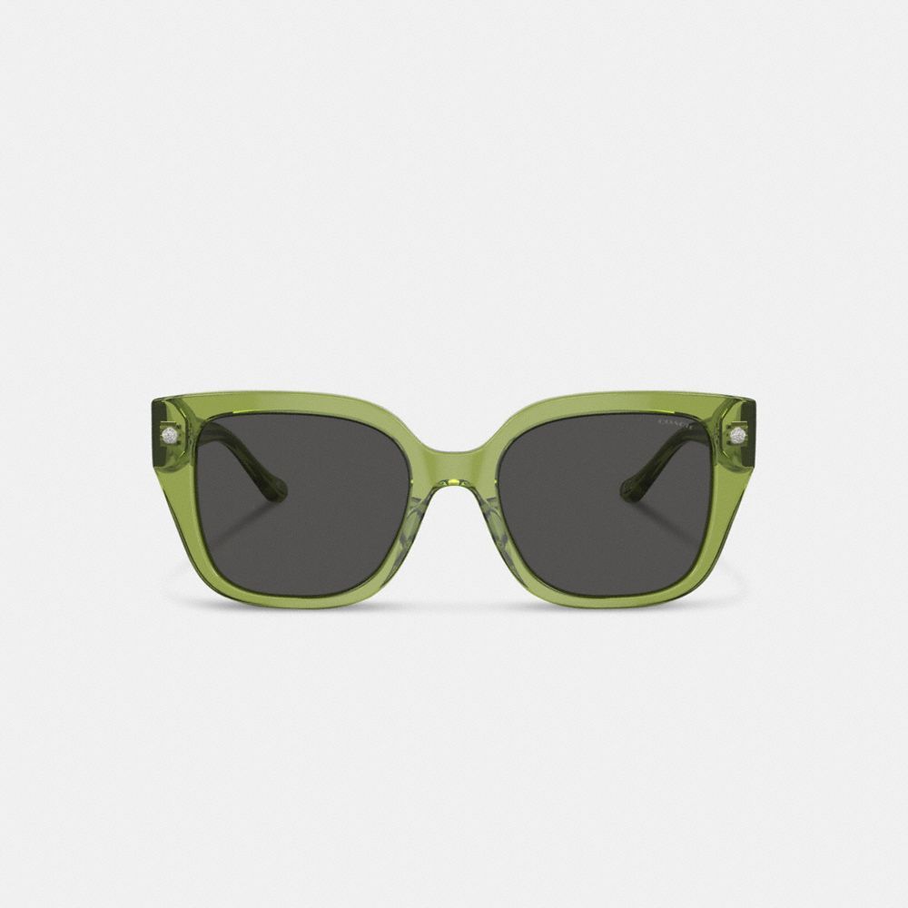 Óculos Coach Charms Oversized Square Sunglasses Feminino Verdes | FLYJZXQ-20