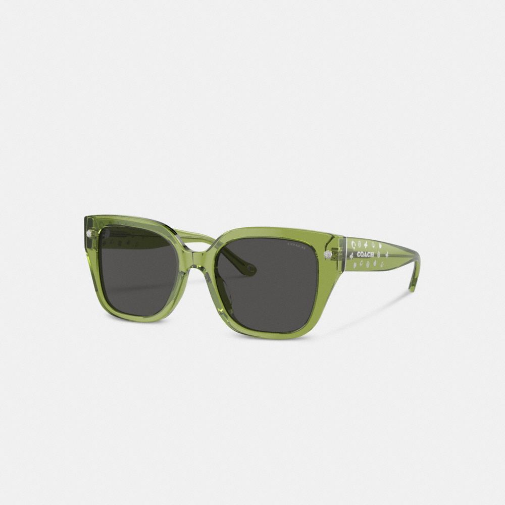 Óculos Coach Charms Oversized Square Sunglasses Feminino Verdes | FLYJZXQ-20