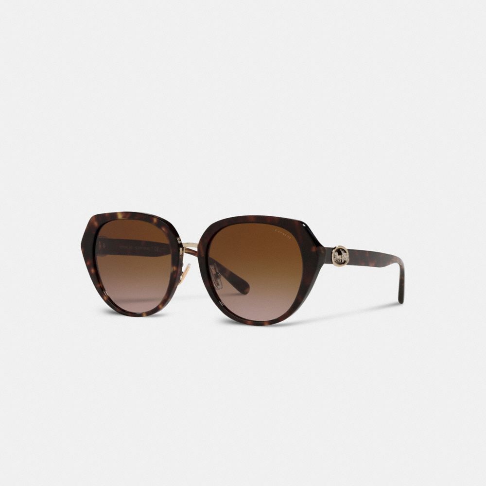 Óculos Coach Horse And Carriage Oversized Round Sunglasses Feminino Multicoloridas | VKZNOWC-46