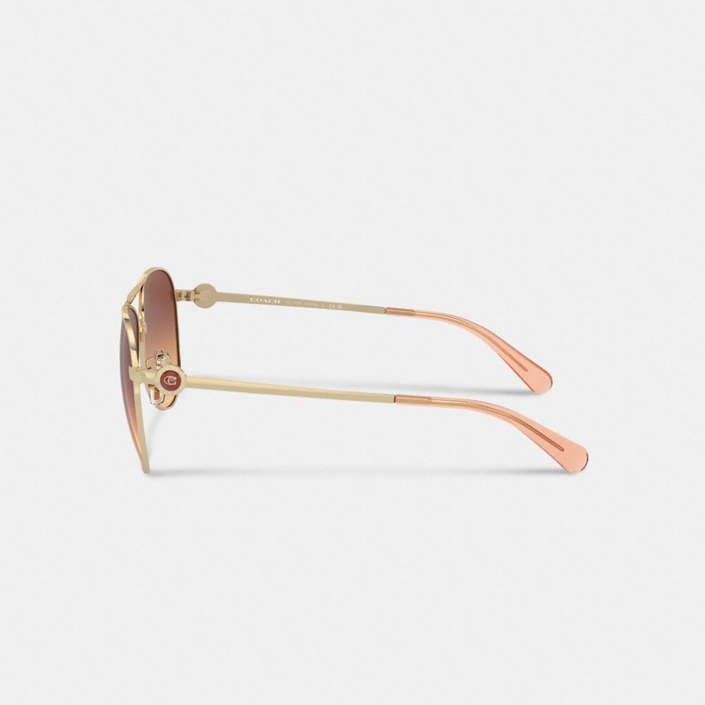 Óculos Coach Metal Aviator Sunglasses Feminino Marrom Escuro | HYFQBAT-73