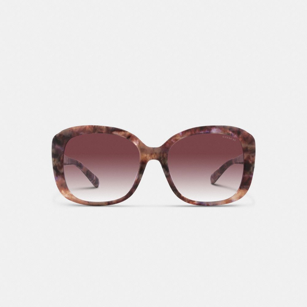 Óculos Coach Signature Oversized Square Sunglasses Feminino Roxo | SYCRZXM-79