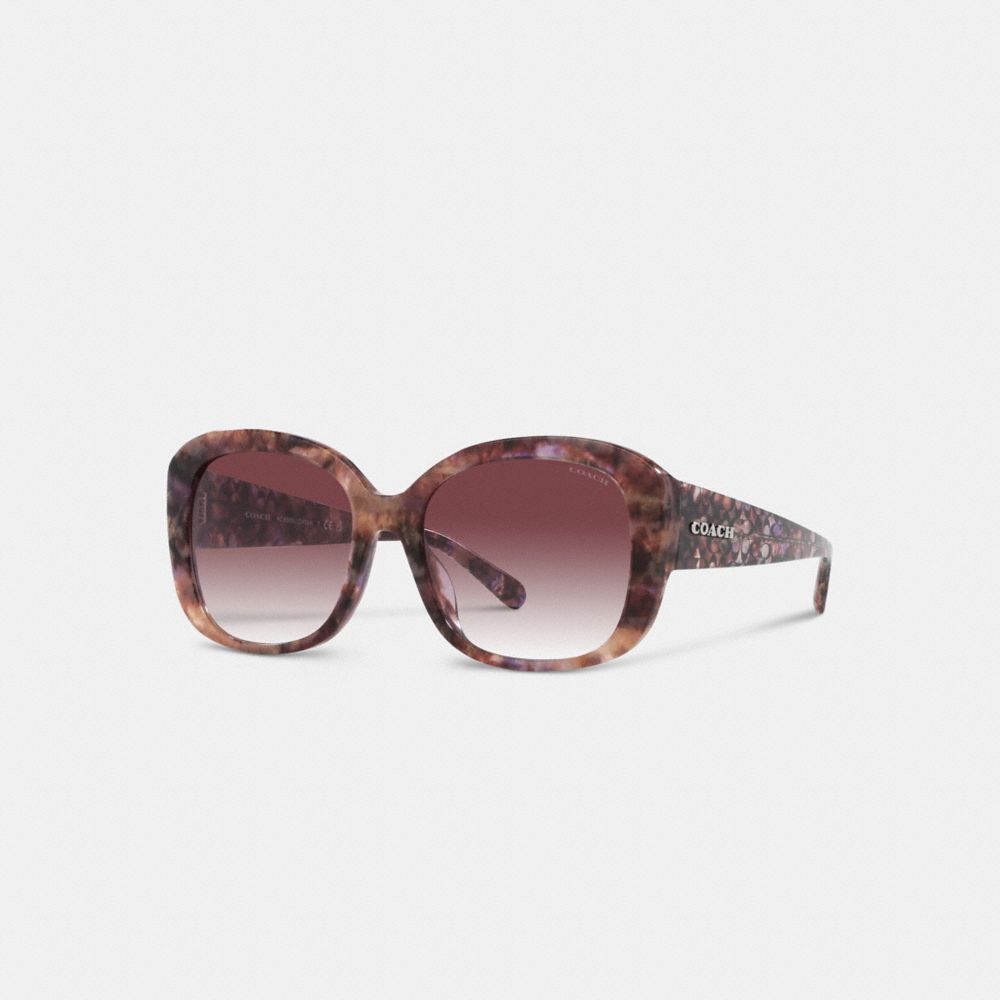 Óculos Coach Signature Oversized Square Sunglasses Feminino Roxo | SYCRZXM-79