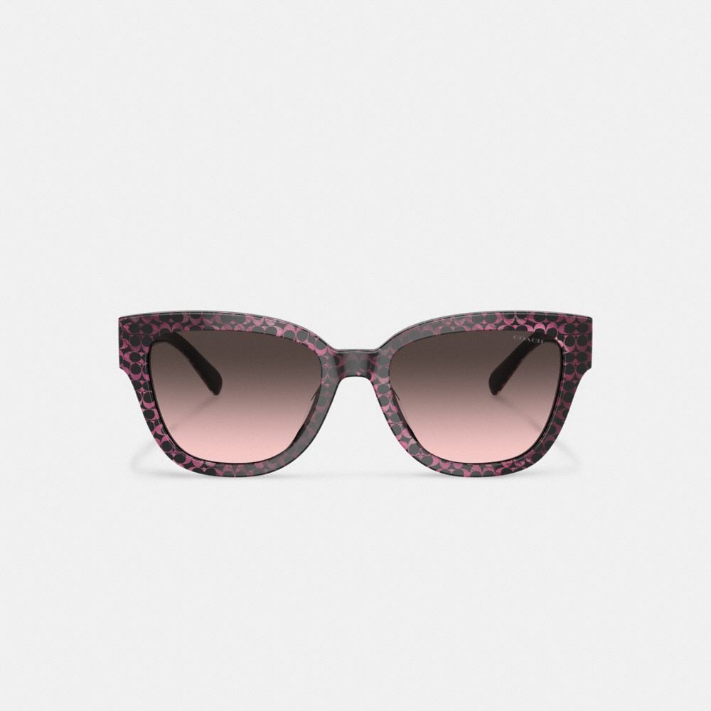 Óculos Coach Signature Round Sunglasses Feminino Multicoloridas | QVPWZLF-95