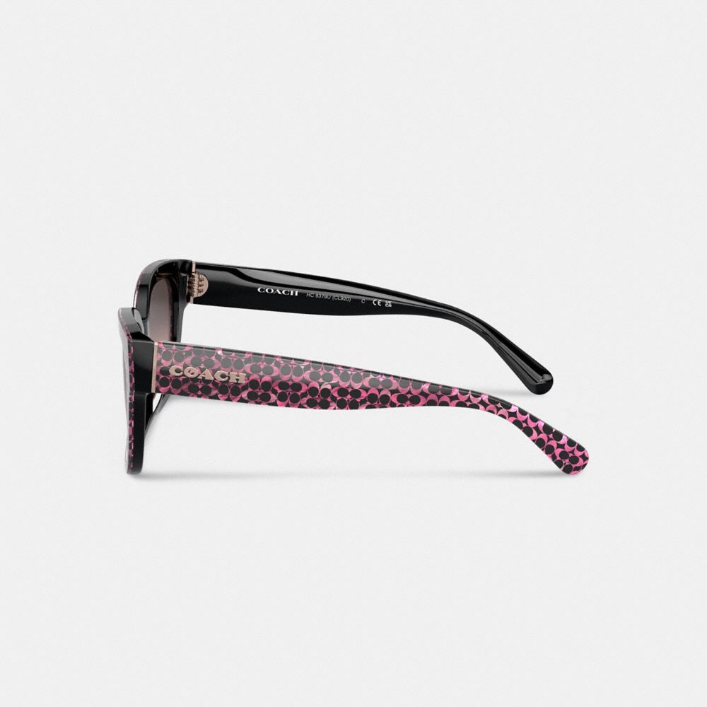 Óculos Coach Signature Round Sunglasses Feminino Multicoloridas | QVPWZLF-95