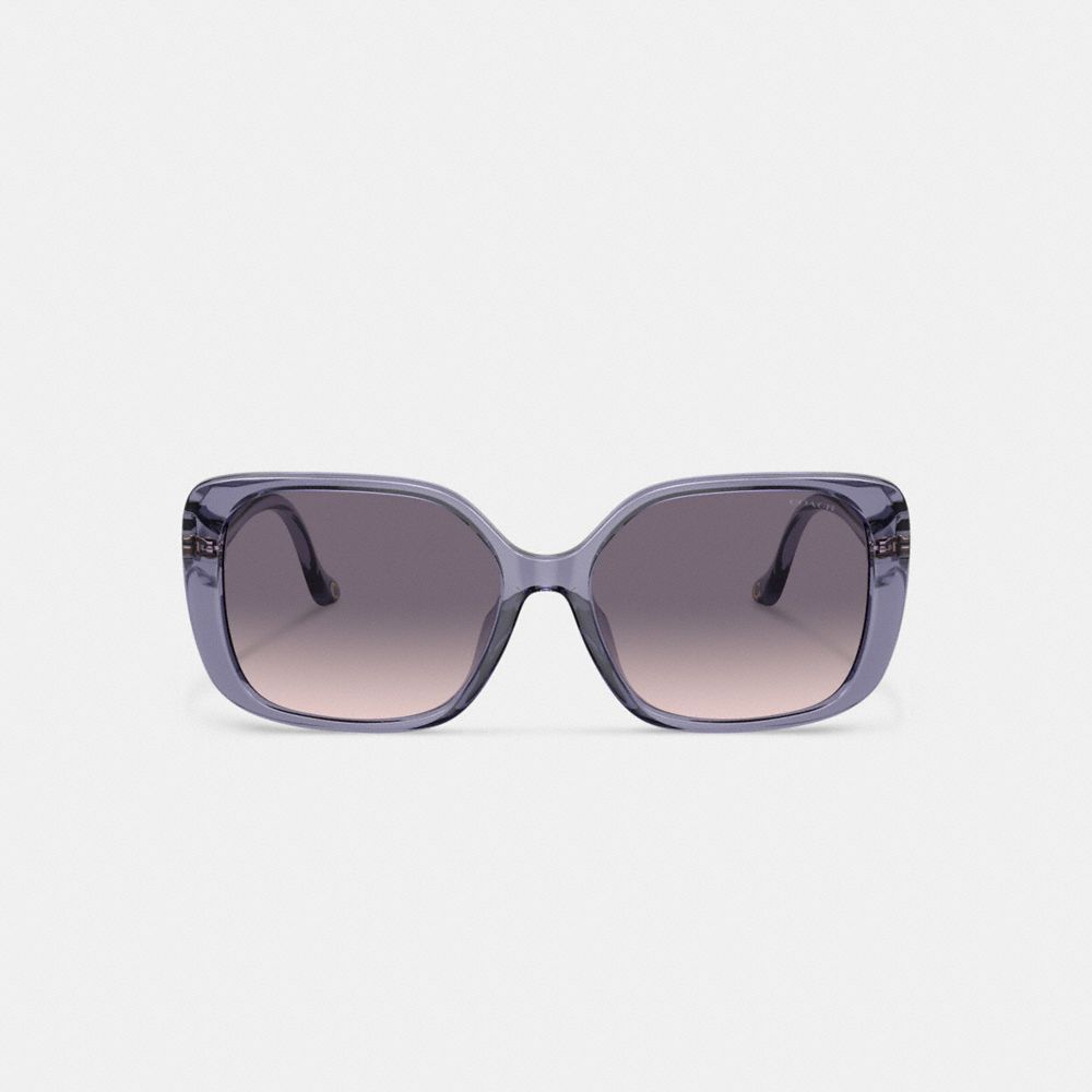 Óculos Coach Swoop Temple Rectangle Sunglasses Feminino Roxo | ODJCNIX-24