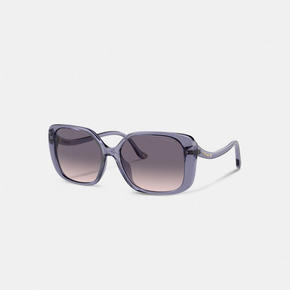 Óculos Coach Swoop Temple Rectangle Sunglasses Feminino Roxo | ODJCNIX-24