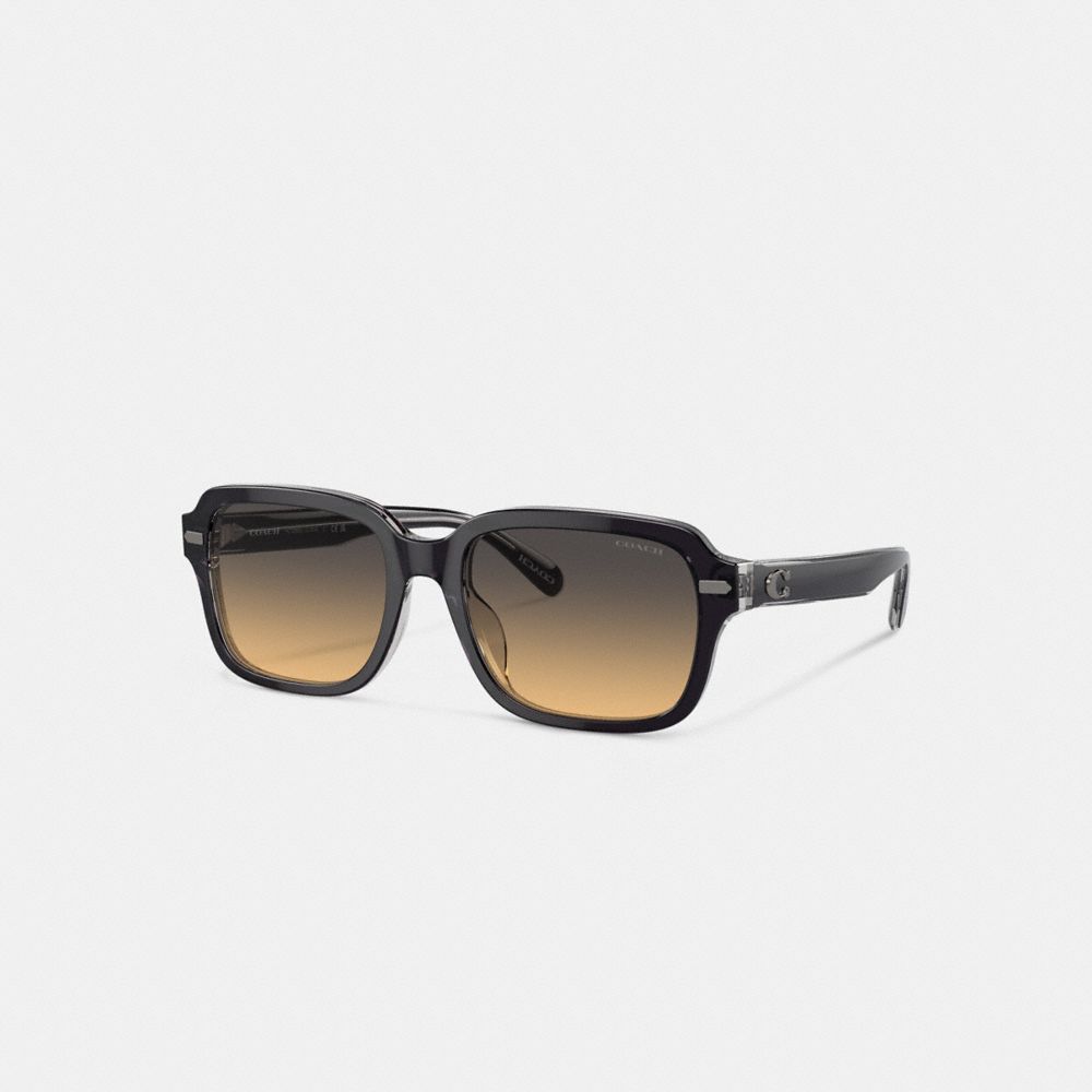 Óculos de Sol Coach Beveled Signature Square Sunglasses Masculino Cinzentas Escuro Luz Cinzentas | OTIZUKX-36