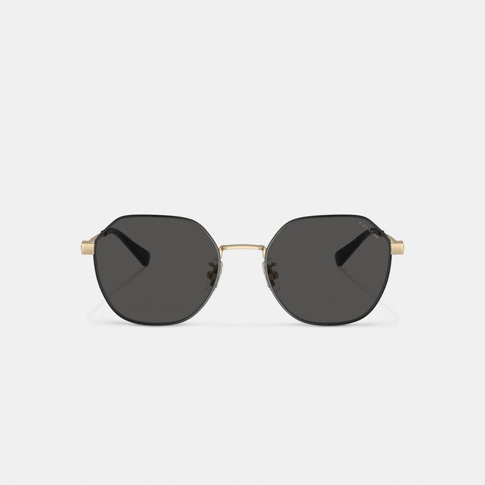 Óculos de Sol Coach Hinged Geometric Round Sunglasses Masculino Douradas Pretas | KYVSDGZ-71