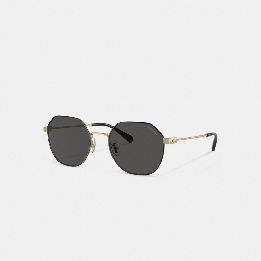 Óculos de Sol Coach Hinged Geometric Round Sunglasses Masculino Douradas Pretas | KYVSDGZ-71