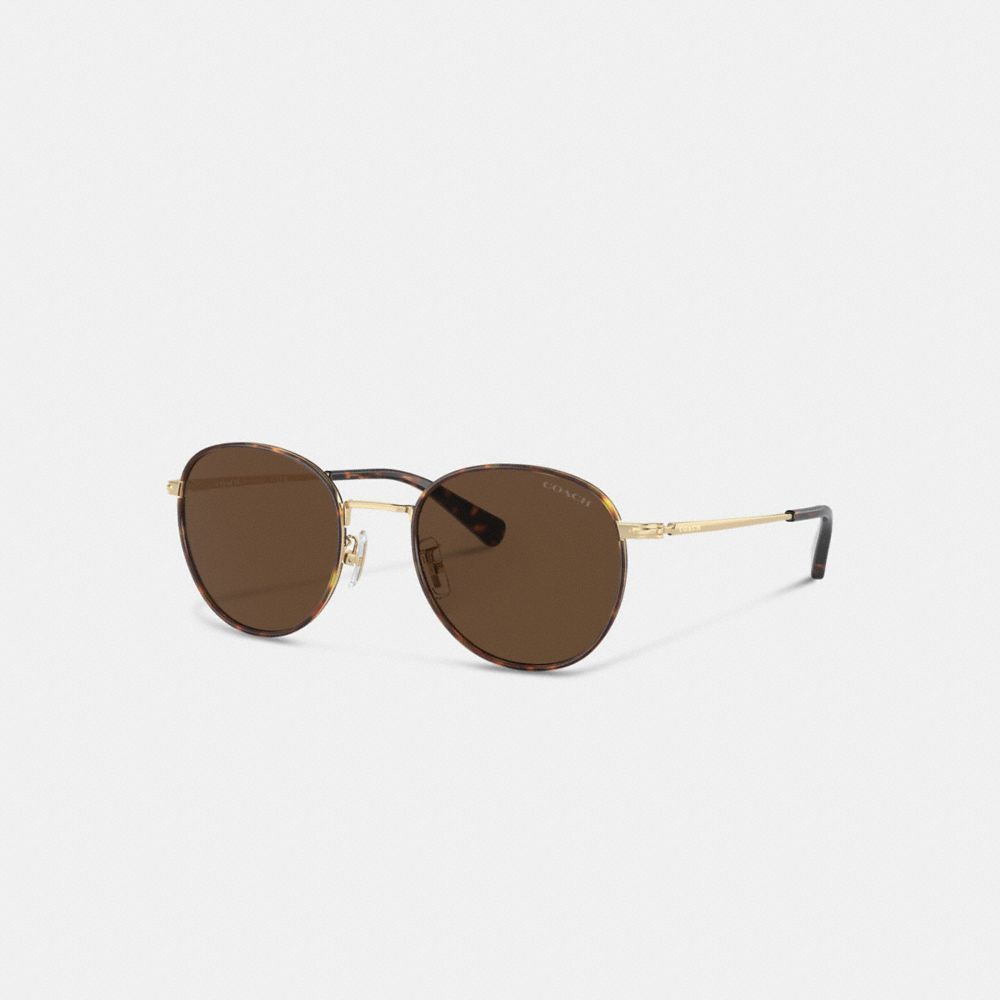 Óculos de Sol Coach Metal Windsor Round Sunglasses Masculino Marrom Douradas | DTSYUIH-21