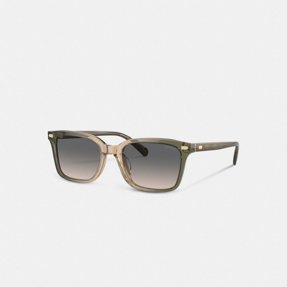 Óculos de Sol Coach Narrow Square Sunglasses Masculino Verdes Marrom | ZEIXLCY-61