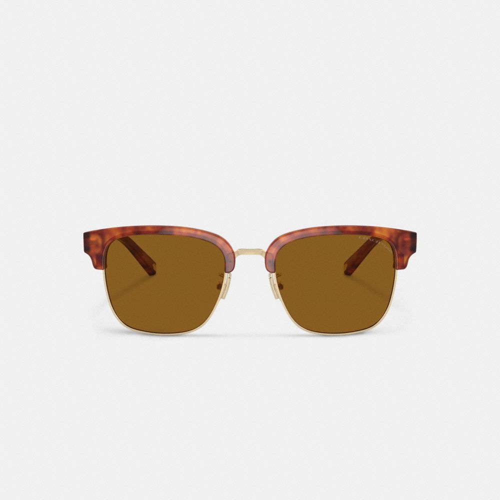 Óculos de Sol Coach Retro Sunglasses Masculino Marrom | VFYUMHQ-82