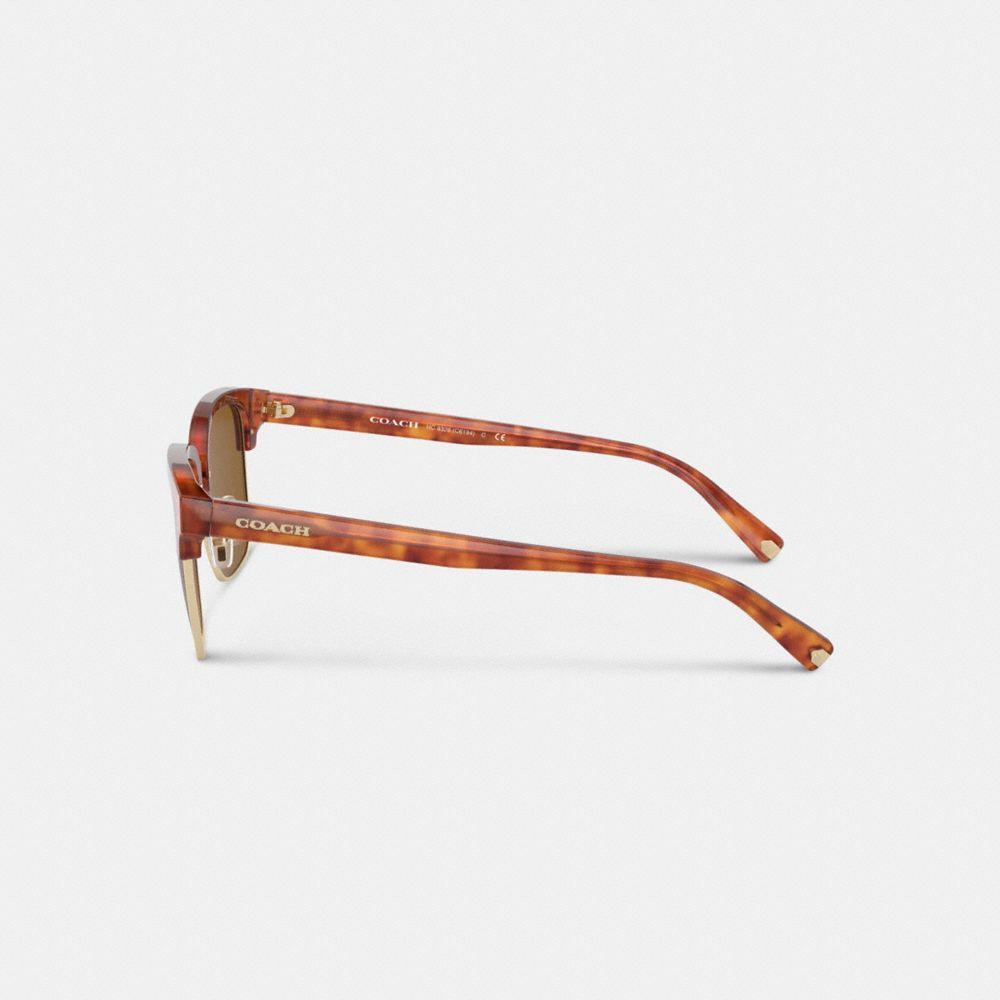 Óculos de Sol Coach Retro Sunglasses Masculino Marrom | VFYUMHQ-82