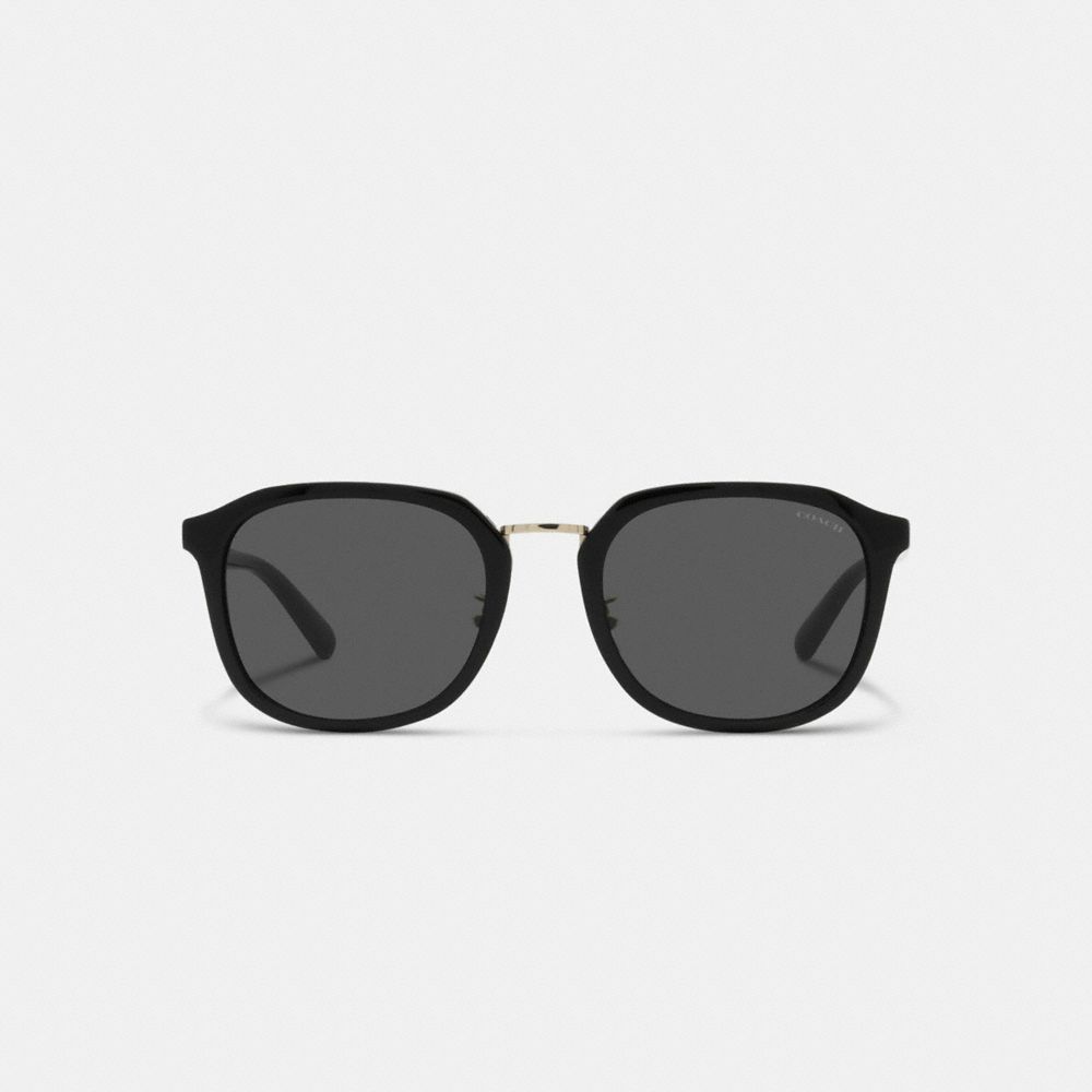 Óculos de Sol Coach Rounded Geometric Sunglasses Masculino Pretas | TMOHUCD-95