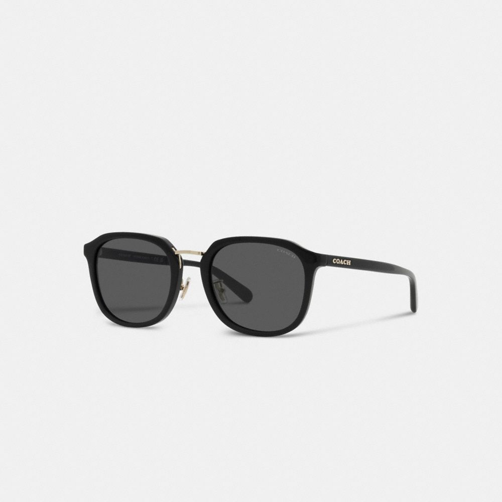 Óculos de Sol Coach Rounded Geometric Sunglasses Masculino Pretas | TMOHUCD-95